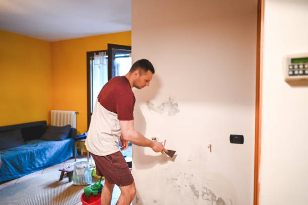 Best Local Mold Removal Service  in Beech Island, SC